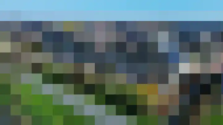 Vogelwikke 14 Zevenhoven thumbnail 36