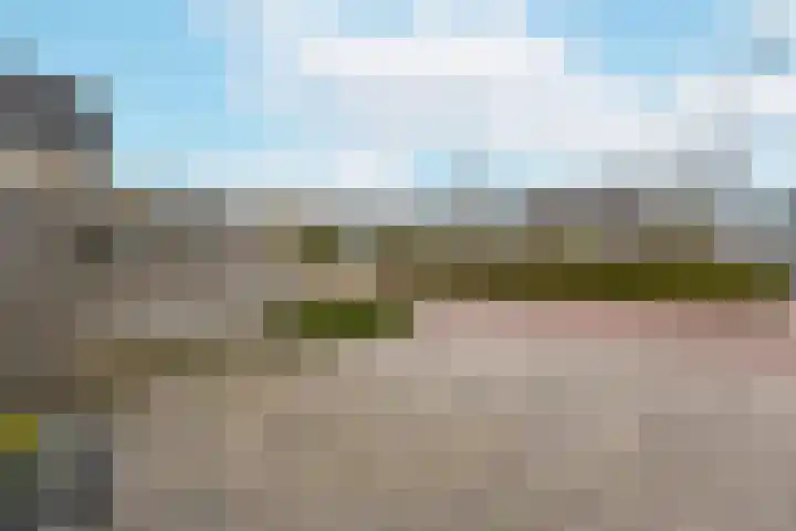 Vogelwikke 14 Zevenhoven thumbnail 37