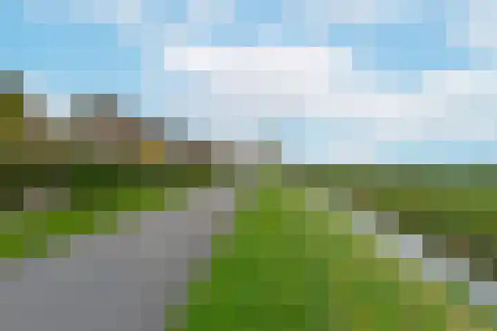 Vogelwikke 14 Zevenhoven thumbnail 38