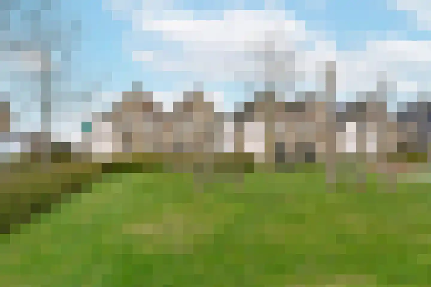 Vogelwikke 14 Zevenhoven thumbnail 39
