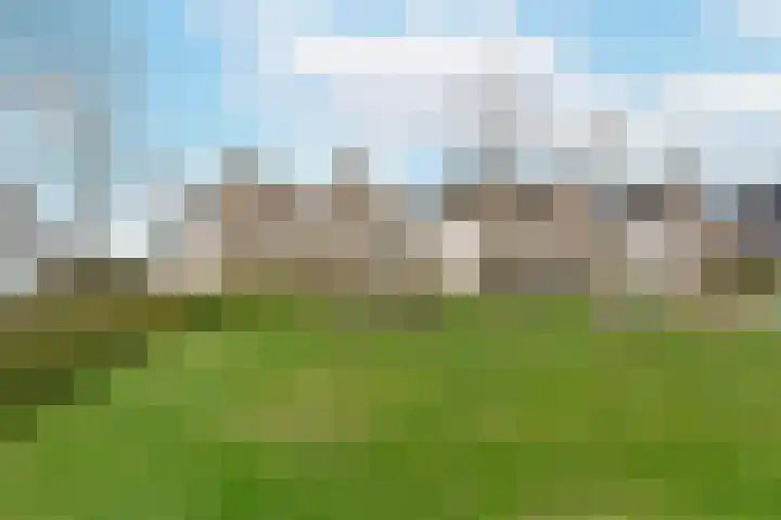 Vogelwikke 14 Zevenhoven thumbnail 39