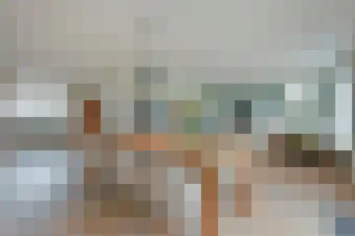 Vogelwikke 14 Zevenhoven thumbnail 4