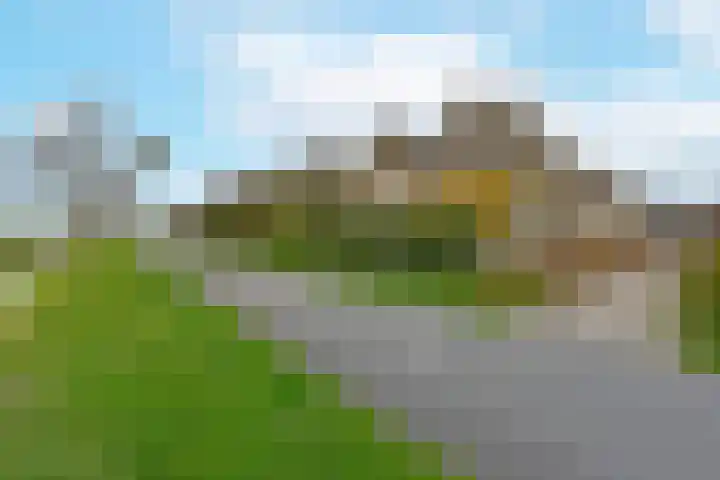 Vogelwikke 14 Zevenhoven thumbnail 40