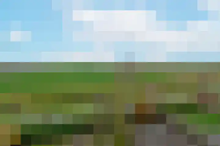 Vogelwikke 14 Zevenhoven thumbnail 41