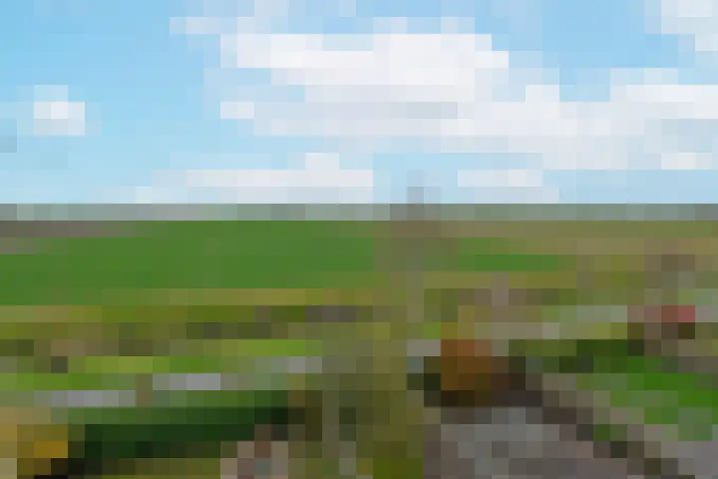 Vogelwikke 14 Zevenhoven thumbnail 41