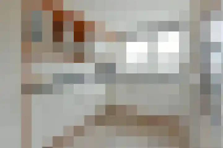 Vogelwikke 14 Zevenhoven thumbnail 5