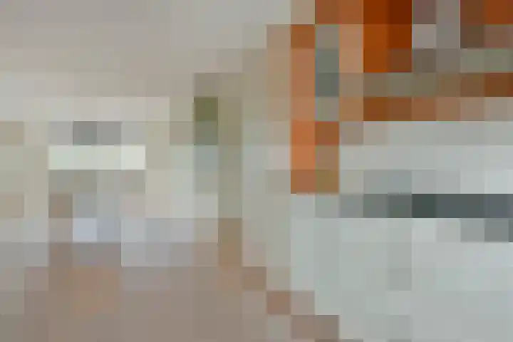 Vogelwikke 14 Zevenhoven thumbnail 7