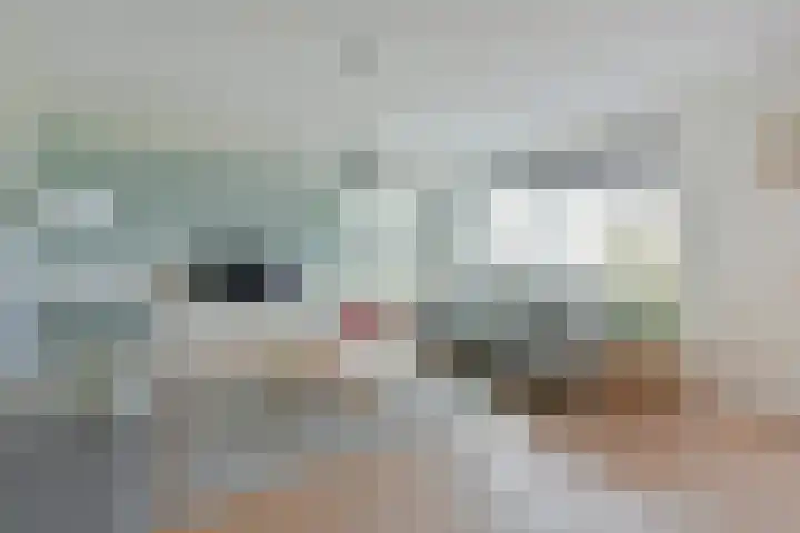 Vogelwikke 14 Zevenhoven thumbnail 9