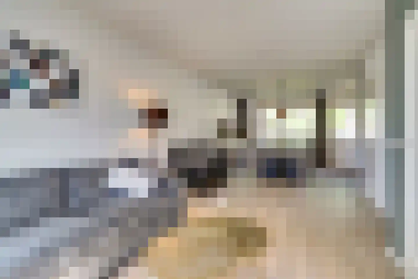 Vogelwikke 16 A Bladel thumbnail 12