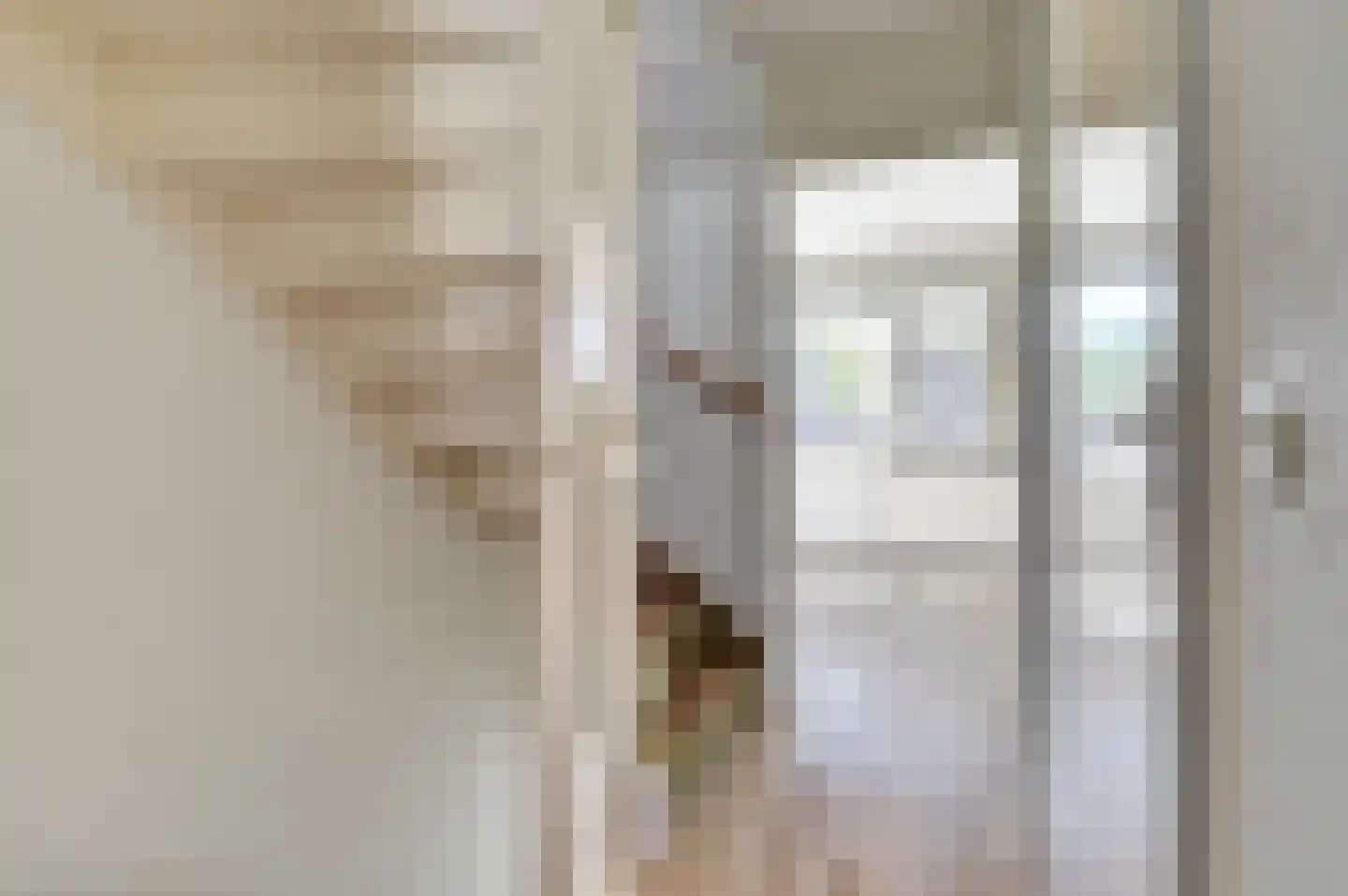 Vogelwikke 16 A Bladel thumbnail 20