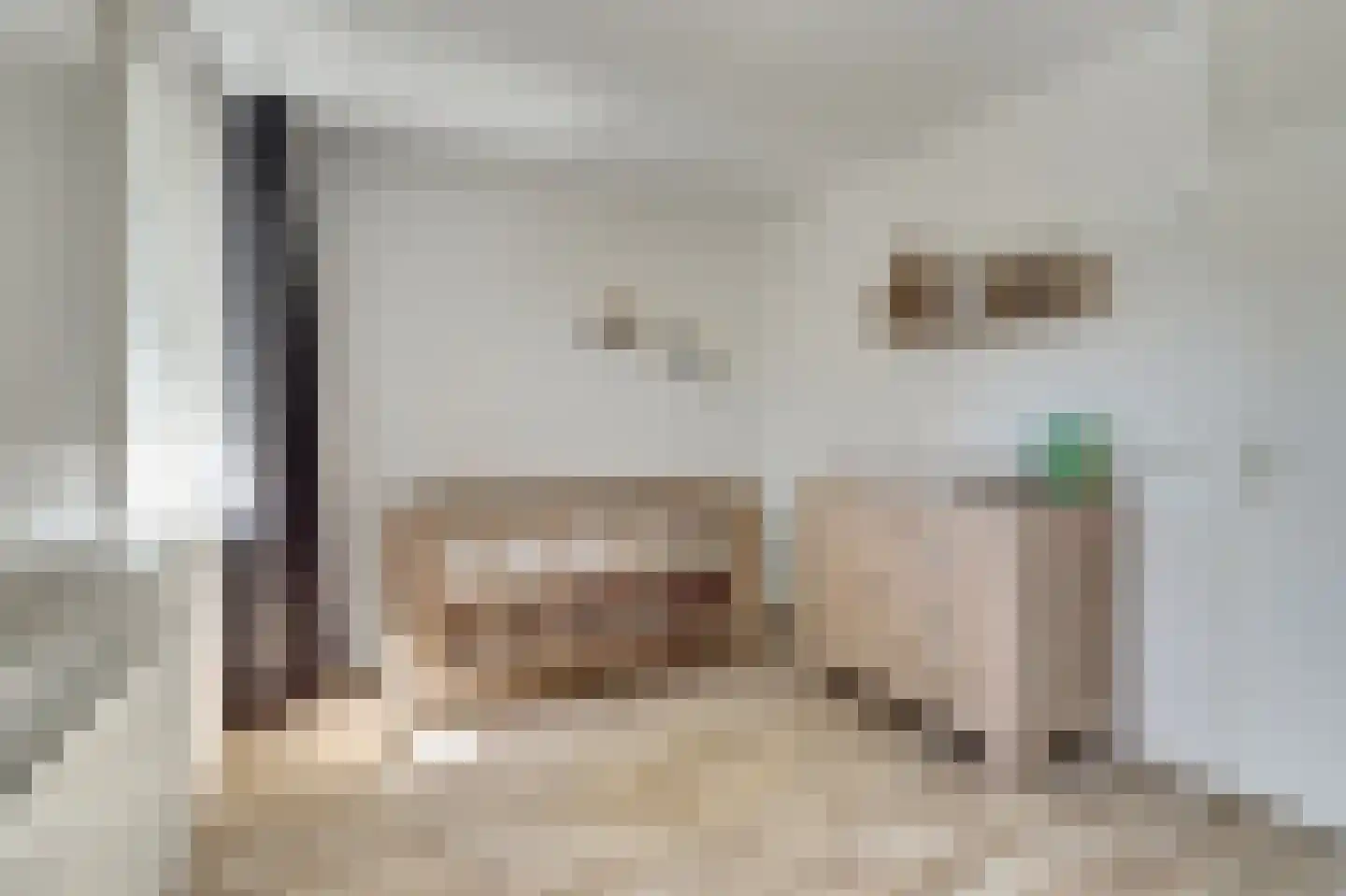 Vogelwikke 16 A Bladel thumbnail 23