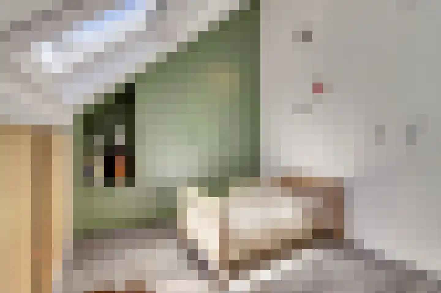 Vogelwikke 16 A Bladel thumbnail 29