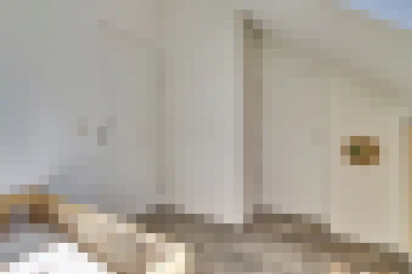 Vogelwikke 16 A Bladel thumbnail 30