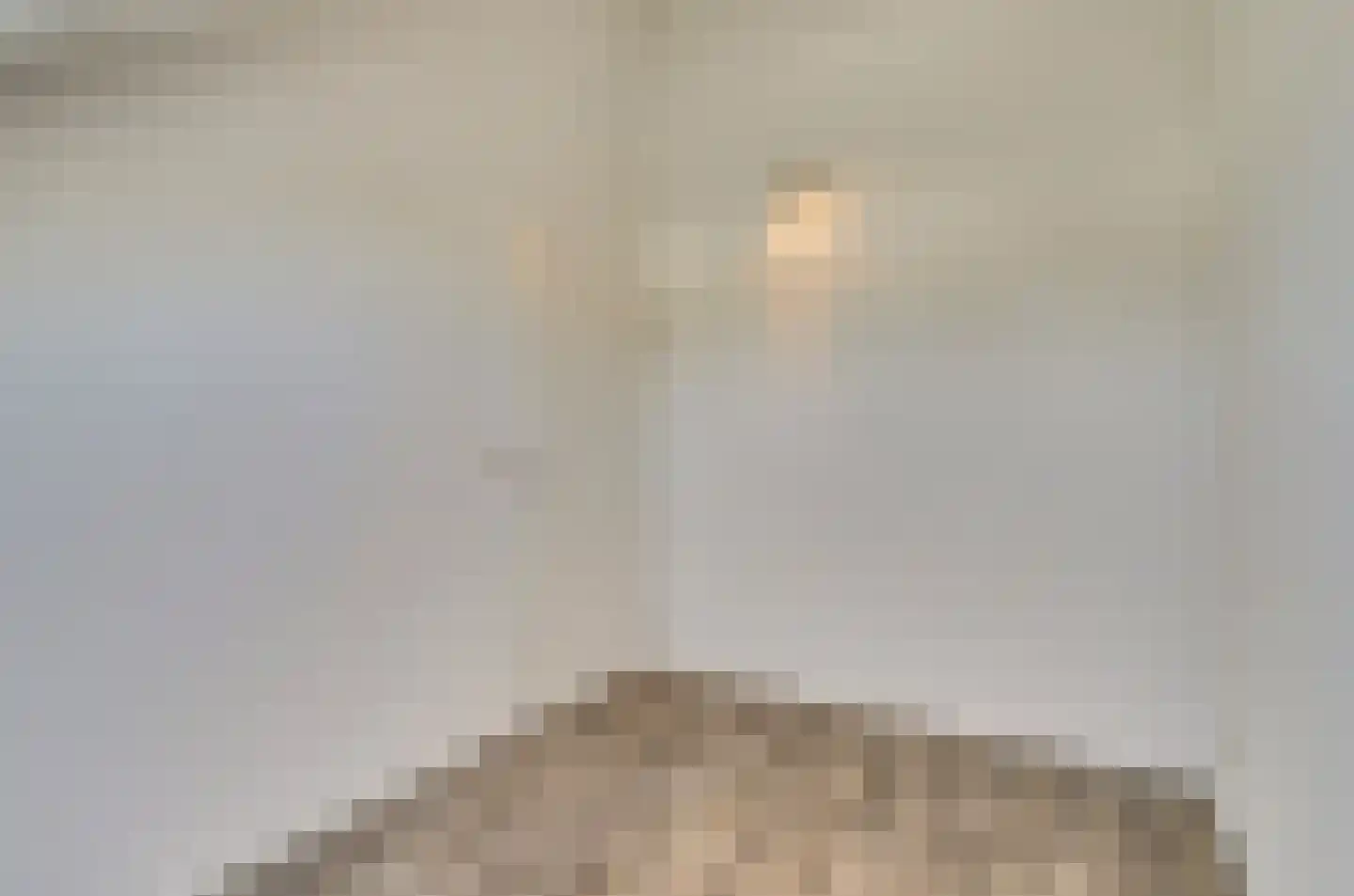 Vogelwikke 16 A Bladel thumbnail 32