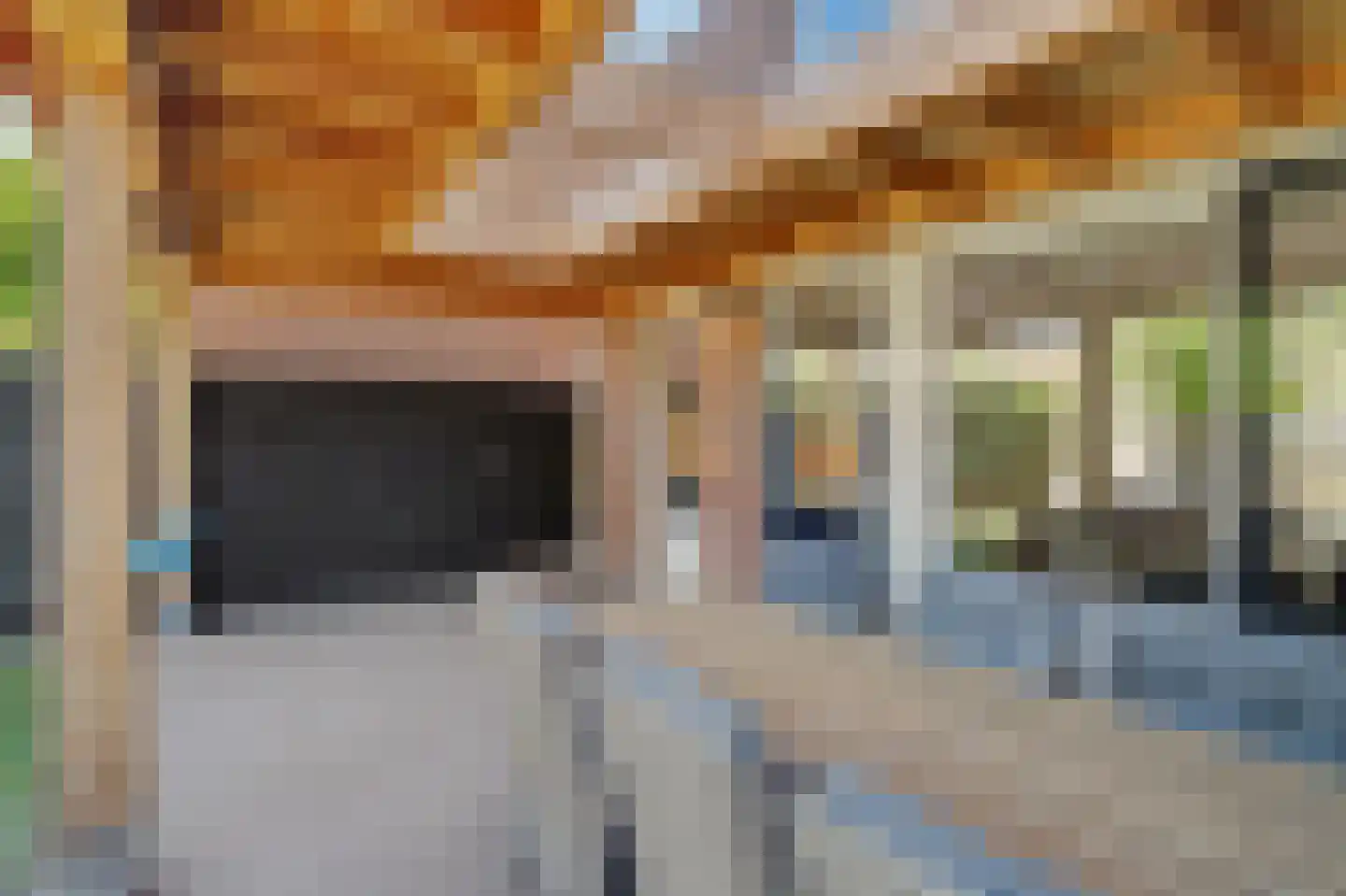 Vogelwikke 16 A Bladel thumbnail 34