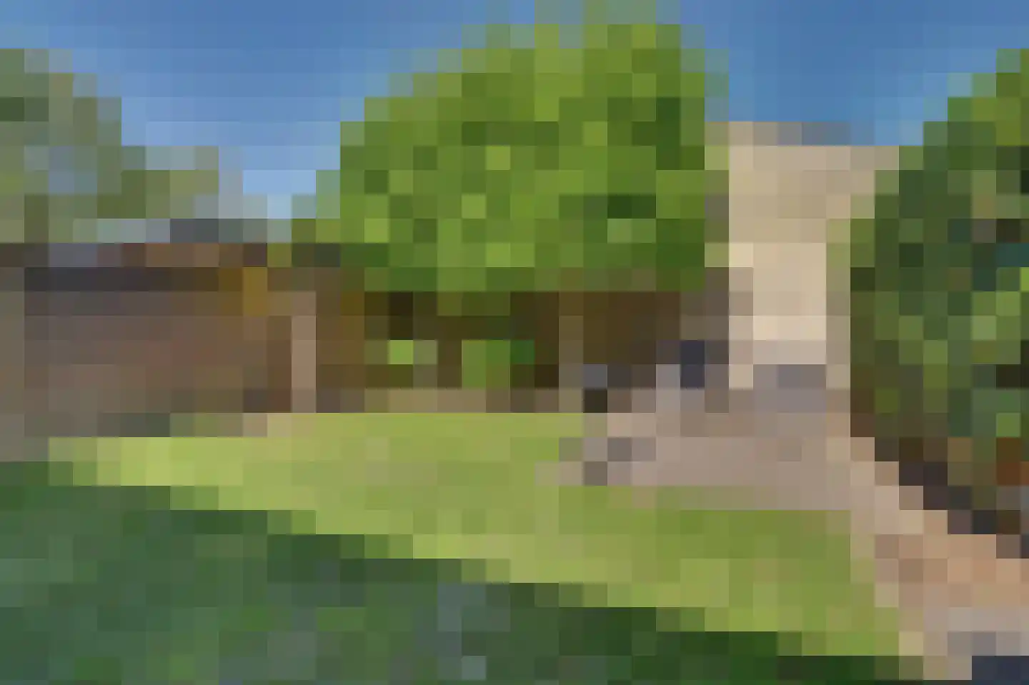 Vogelwikke 16 A Bladel thumbnail 37
