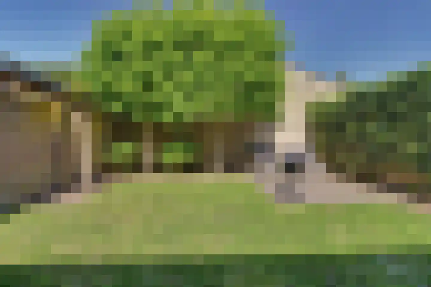 Vogelwikke 16 A Bladel thumbnail 39