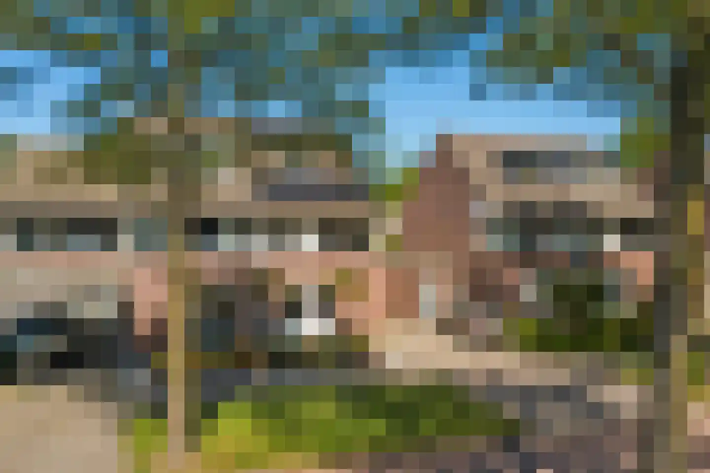Vogelwikke 16 A Bladel thumbnail 43