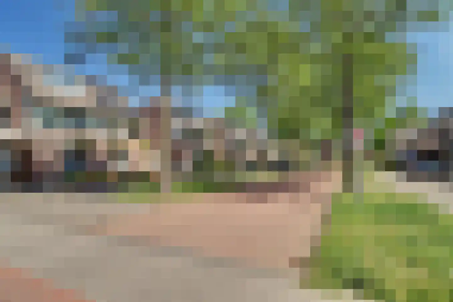 Vogelwikke 16 A Bladel thumbnail 6