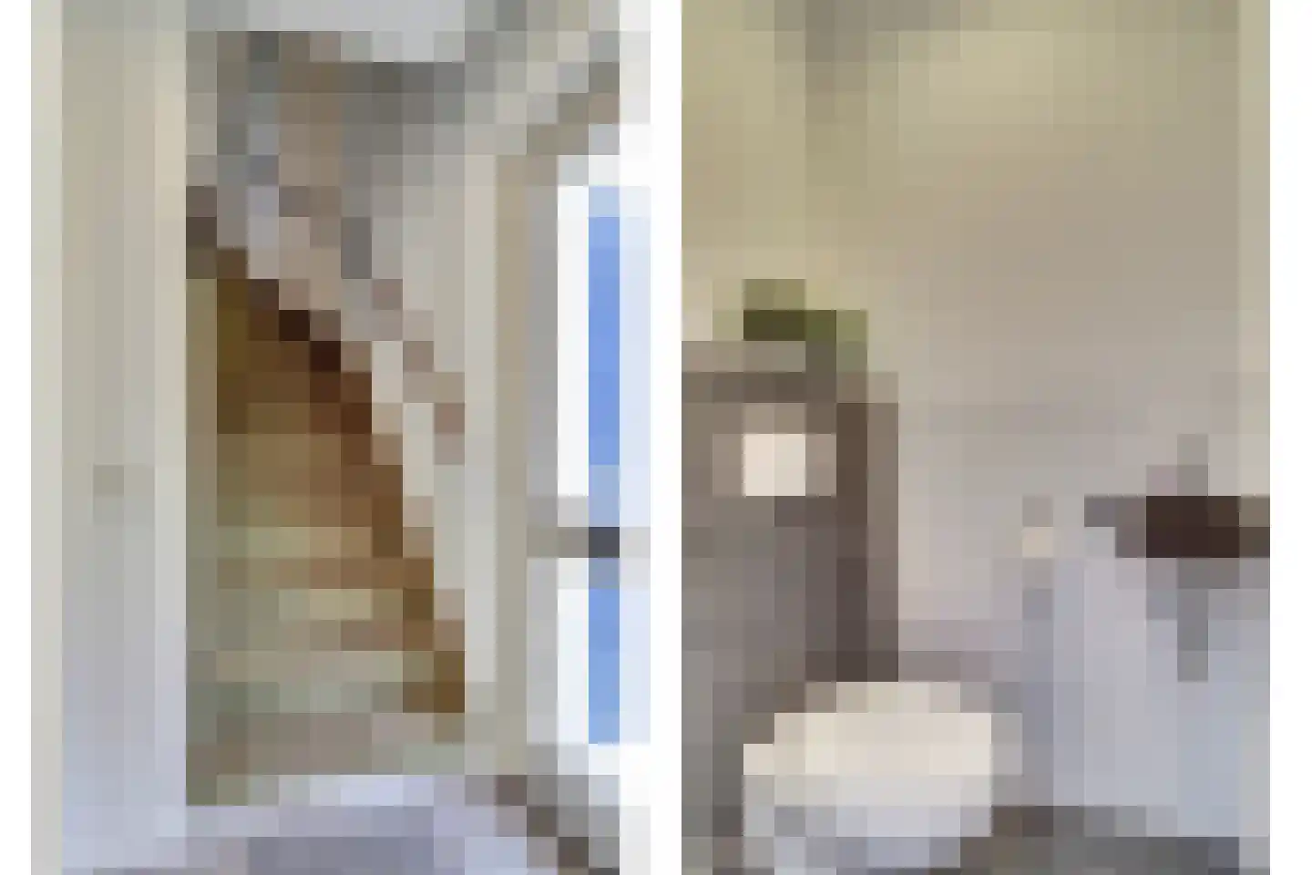 Vogelwikke 16 A Bladel thumbnail 8