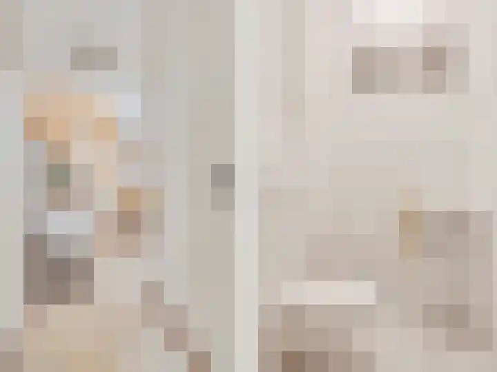 Vogelwikke 16 Elburg thumbnail 11
