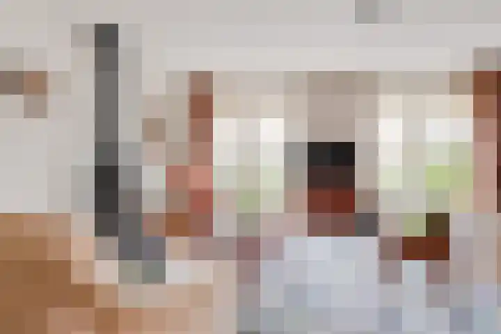 Vogelwikke 16 Elburg thumbnail 13