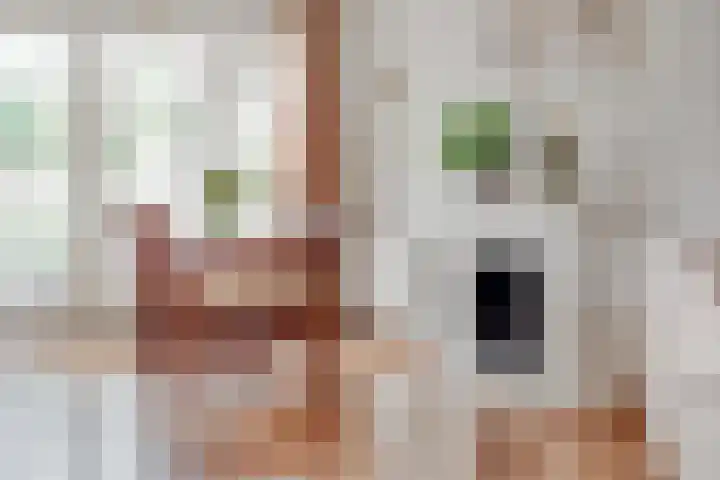 Vogelwikke 16 Elburg thumbnail 18
