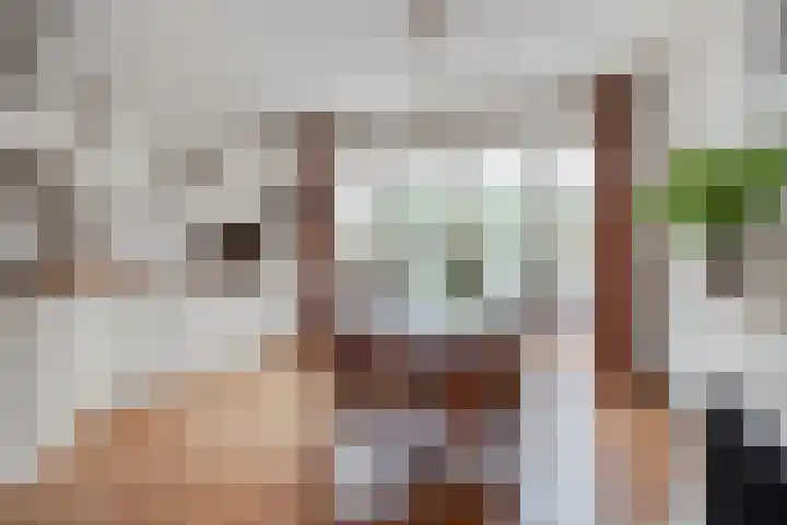 Vogelwikke 16 Elburg thumbnail 20