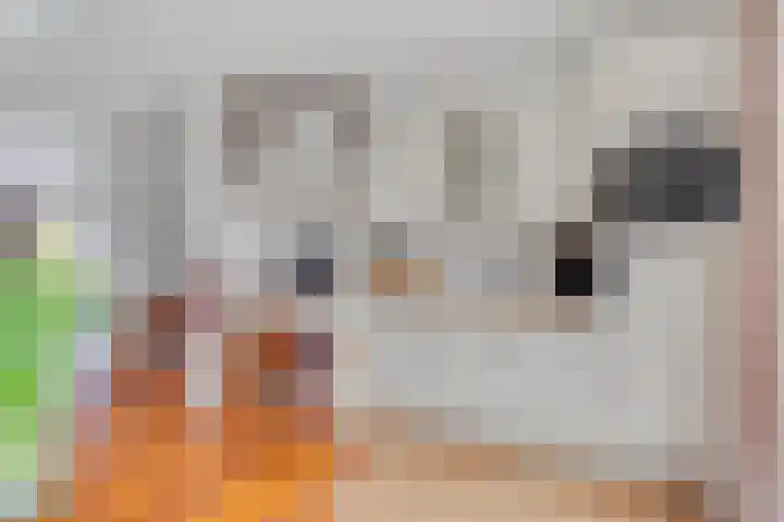 Vogelwikke 16 Elburg thumbnail 21