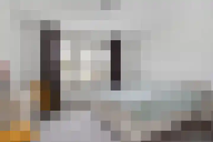 Vogelwikke 16 Elburg thumbnail 27