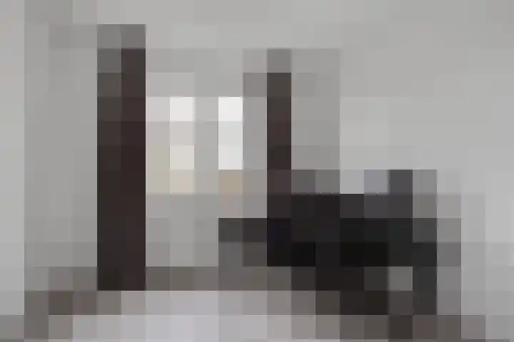 Vogelwikke 16 Elburg thumbnail 30