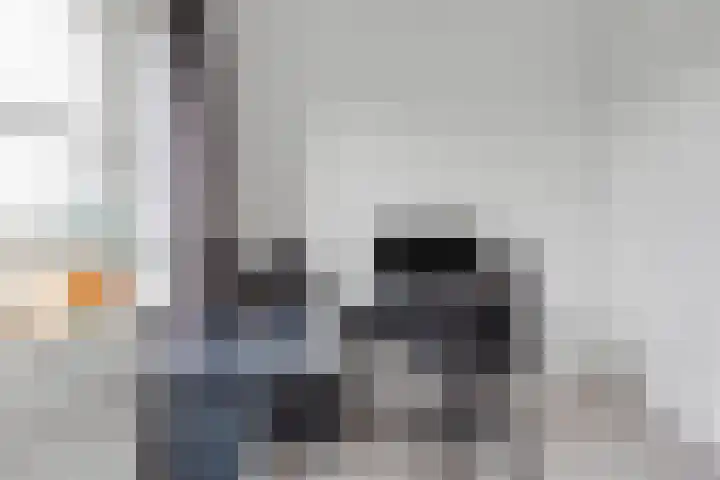 Vogelwikke 16 Elburg thumbnail 31