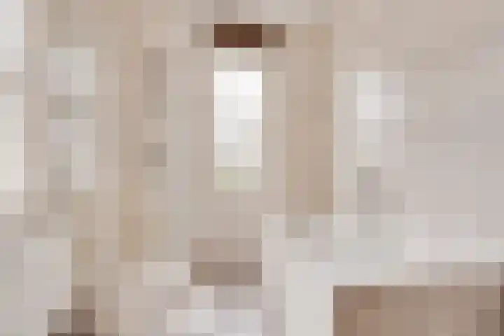 Vogelwikke 16 Elburg thumbnail 35