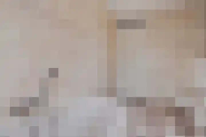 Vogelwikke 16 Elburg thumbnail 36
