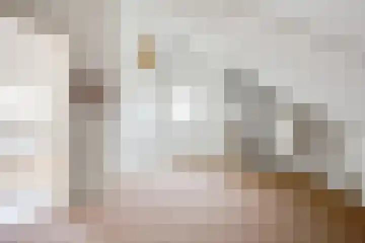 Vogelwikke 16 Elburg thumbnail 38
