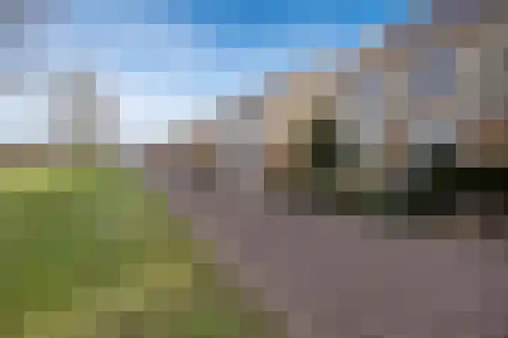 Vogelwikke 16 Elburg thumbnail 4