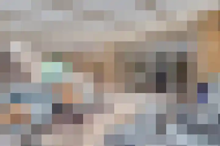 Vogelwikke 16 Elburg thumbnail 47