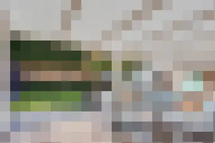 Vogelwikke 16 Elburg thumbnail 48