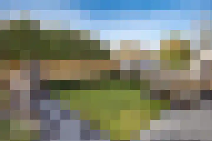 Vogelwikke 16 Elburg thumbnail 49