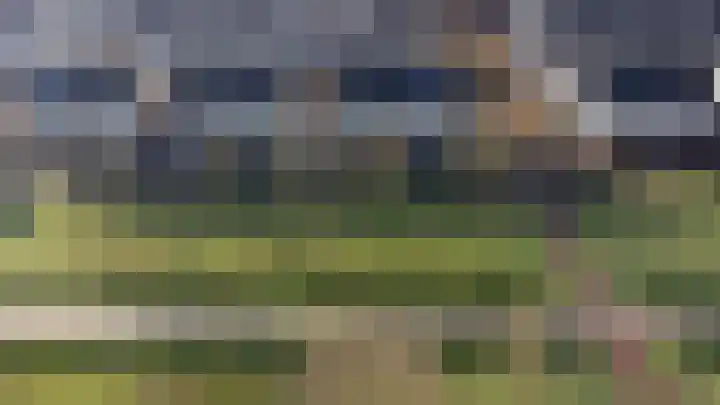 Vogelwikke 16 Elburg thumbnail 5