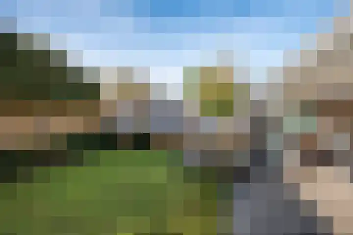 Vogelwikke 16 Elburg thumbnail 50