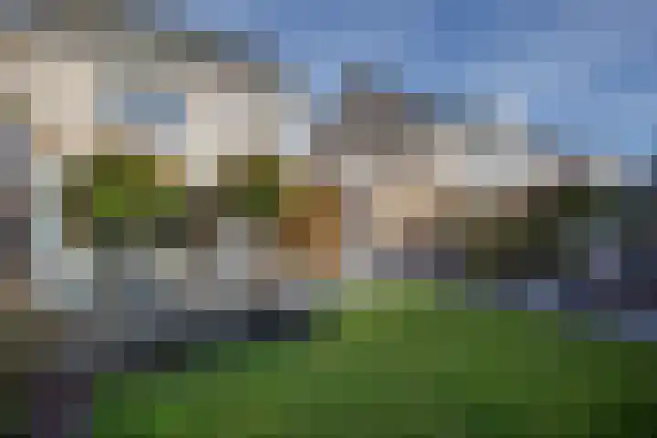 Vogelwikke 16 Elburg thumbnail 51