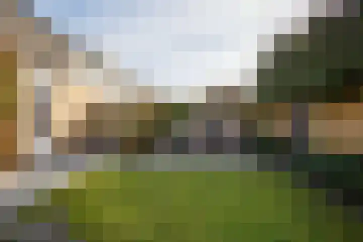 Vogelwikke 16 Elburg thumbnail 52
