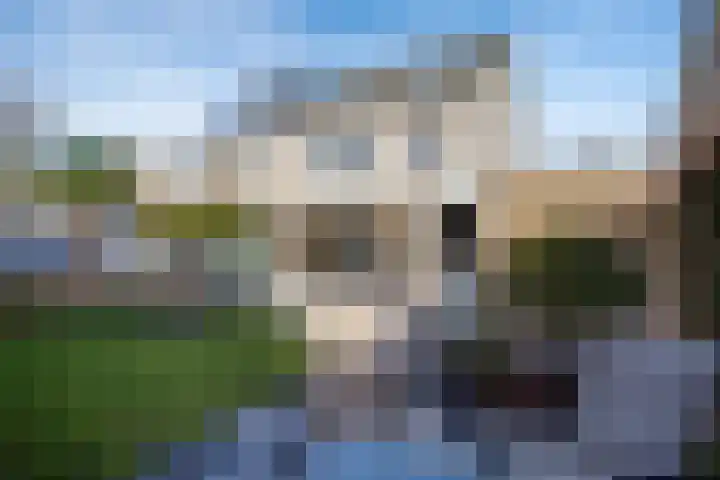 Vogelwikke 16 Elburg thumbnail 53
