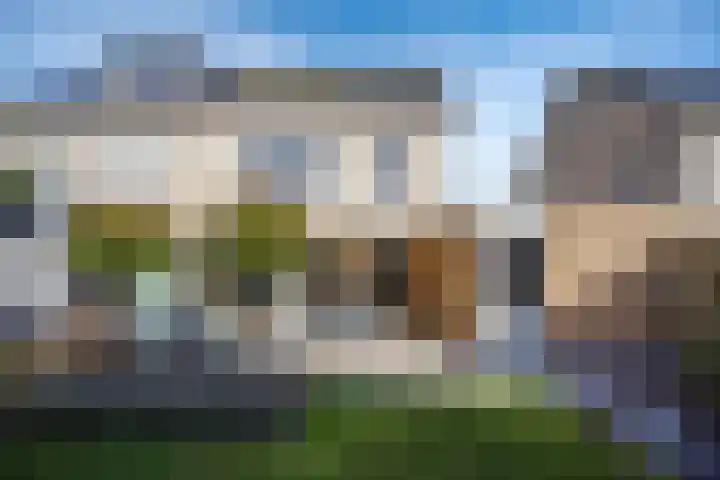 Vogelwikke 16 Elburg thumbnail 54