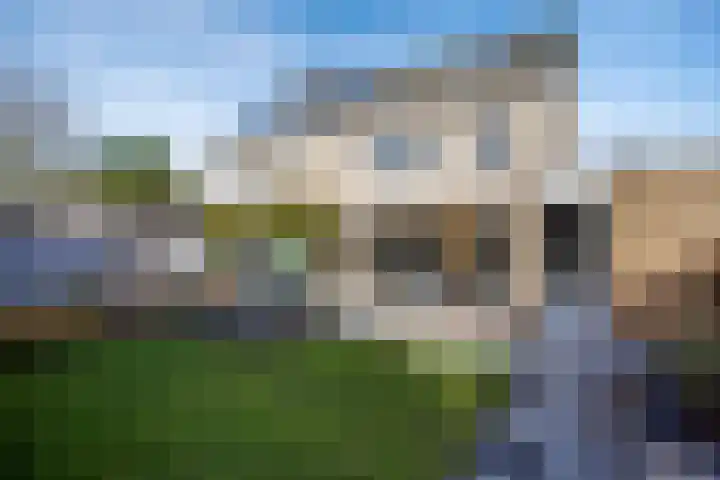 Vogelwikke 16 Elburg thumbnail 55