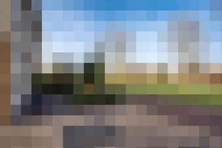Vogelwikke 16 Elburg thumbnail 56