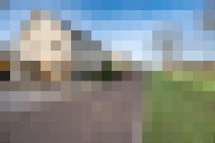 Vogelwikke 16 Elburg thumbnail 57