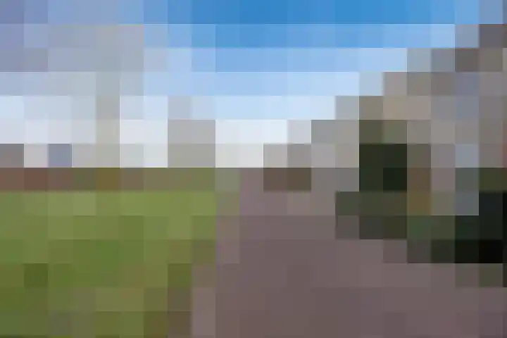 Vogelwikke 16 Elburg thumbnail 58