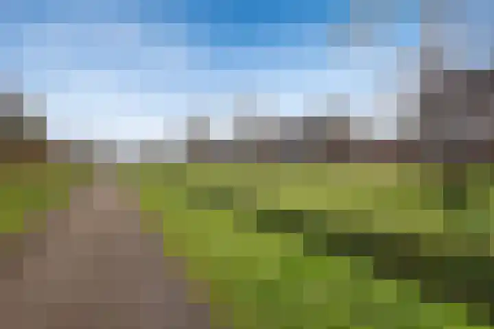 Vogelwikke 16 Elburg thumbnail 59